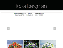 Tablet Screenshot of nicolaibergmann.com